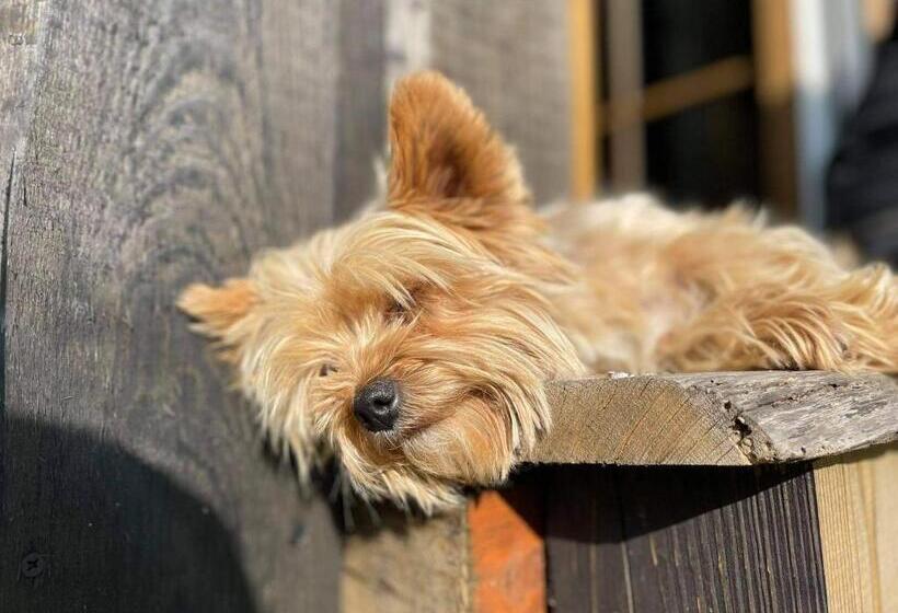 کلبه ییلاقی, Gierszówka