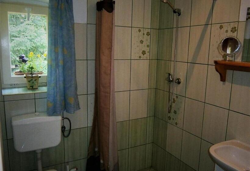 샬레, Gosciniec Pod Debem