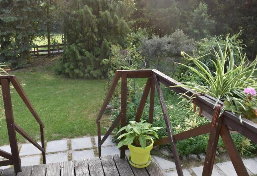 침실 1개 테라스 아파트, Gosciniec Pod Debem