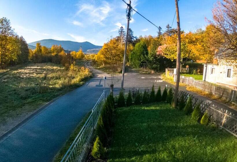 חדר סטנדרט לארבעה, Koniczynka