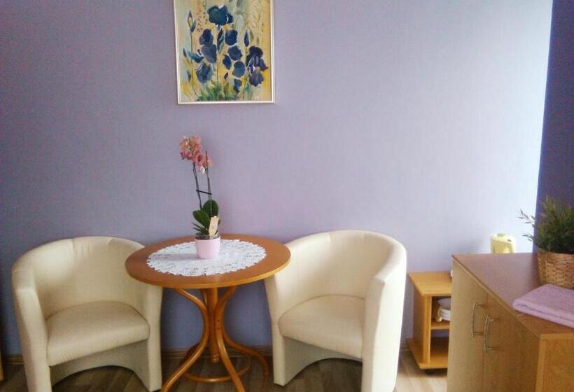 غرفة ديلوكس مزودة بشرفة, Willa Danuta