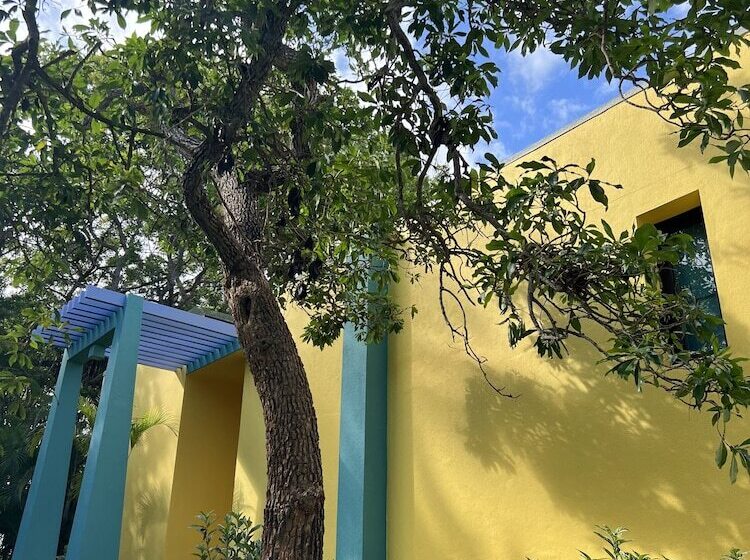 带1个卧室的豪华公寓, Buckingham Place