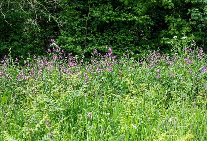 스탠다드 룸, The Three Tuns