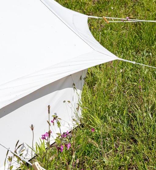 Standard Tent, The Three Tuns