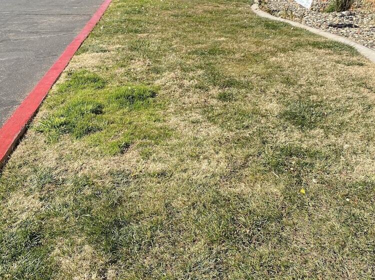 Pokój Standard 2 Łóżka Małżeńskie, Motel 6 Saint George, Ut