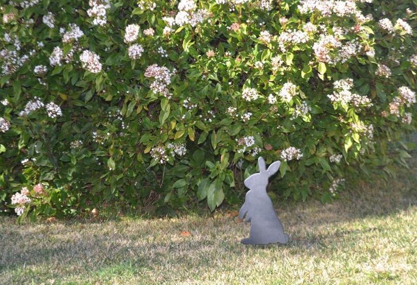 شاليه غرفة نوم واحدة, Mulberry Cottage Unique B&b Accommodation