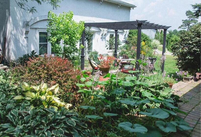 جناح ديلوكس سرير كينج, Orchard House Bed And Breakfast