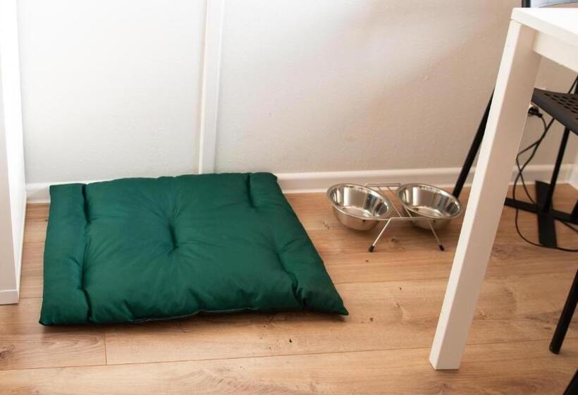 غرفة قياسية رباعية, Pałac Pod Bocianim Gniazdem