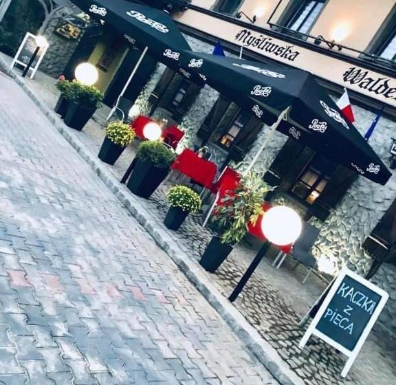 Одноместный Номер Basic, Zajazd Myśliwska