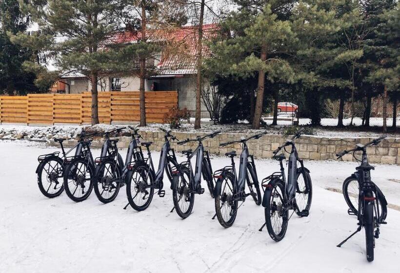 Номер Стандарт, Forrest