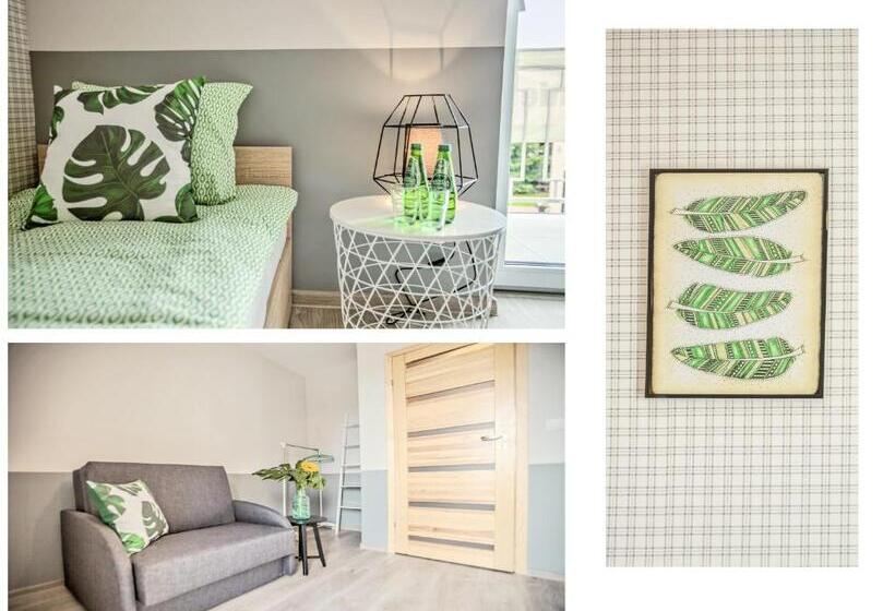 Номер Стандарт, Gościniec Przywidzki