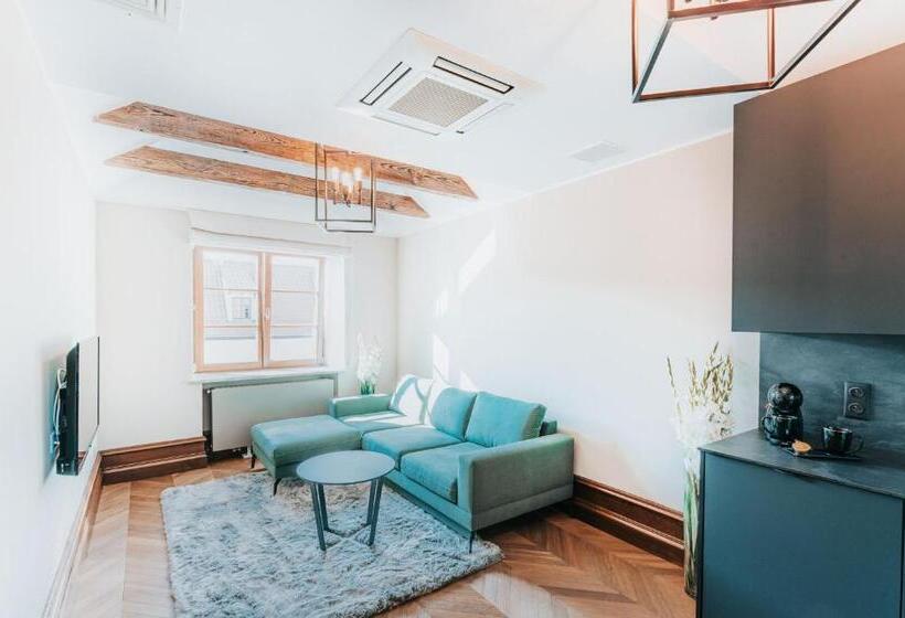 １ベッドルームのスーペリアアパートメント, Pałacyk Potockiego