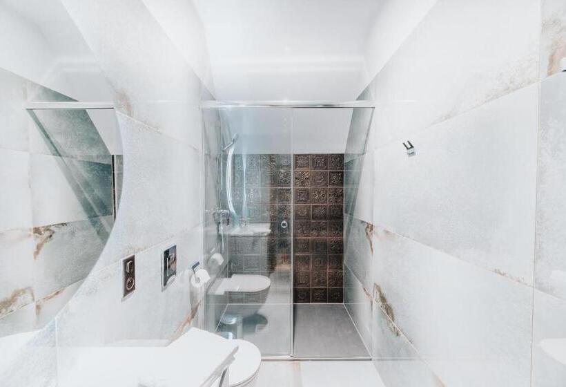 エコノミールーム, Pałacyk Potockiego