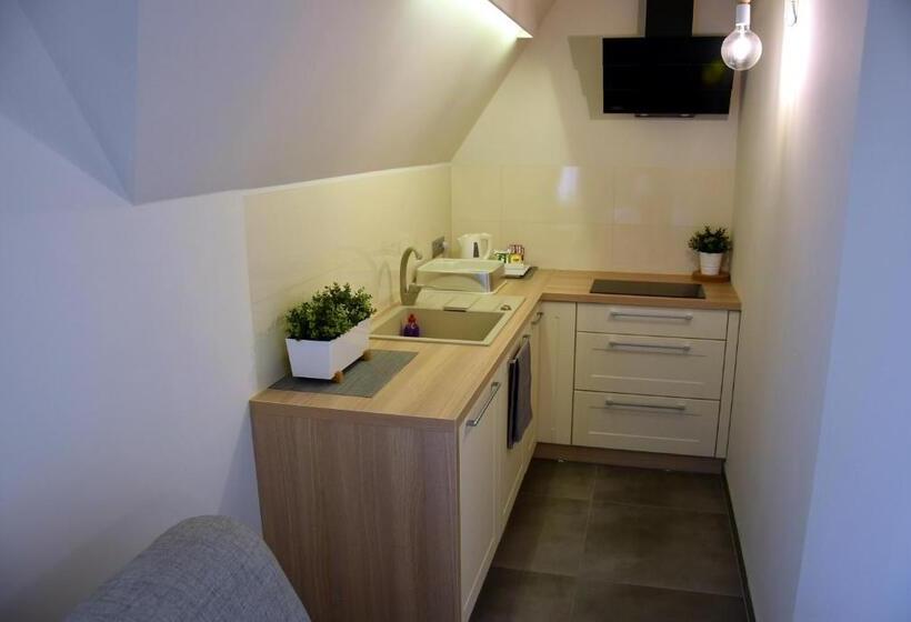 اتاق دوبلکس, Tatrzański Bór Apartamenty