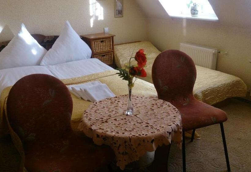 スタンダードルーム, Villa Europa