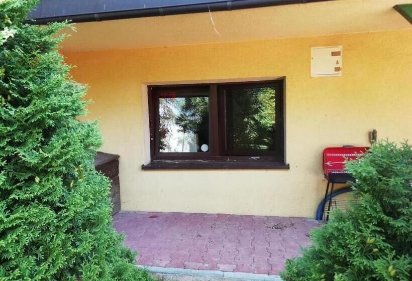 エコノミールーム, Willa Mirabelka