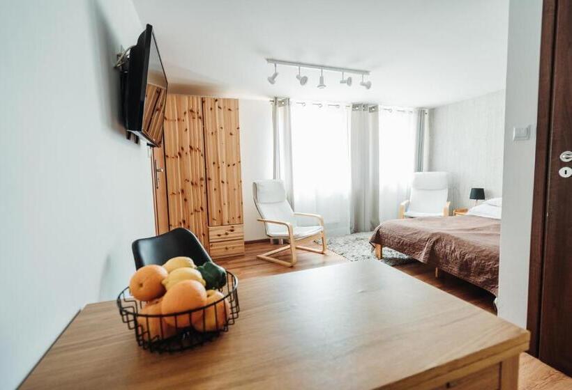 חדר סטודיו סטנדרד, Willa Zaciszne Centrum Augustów