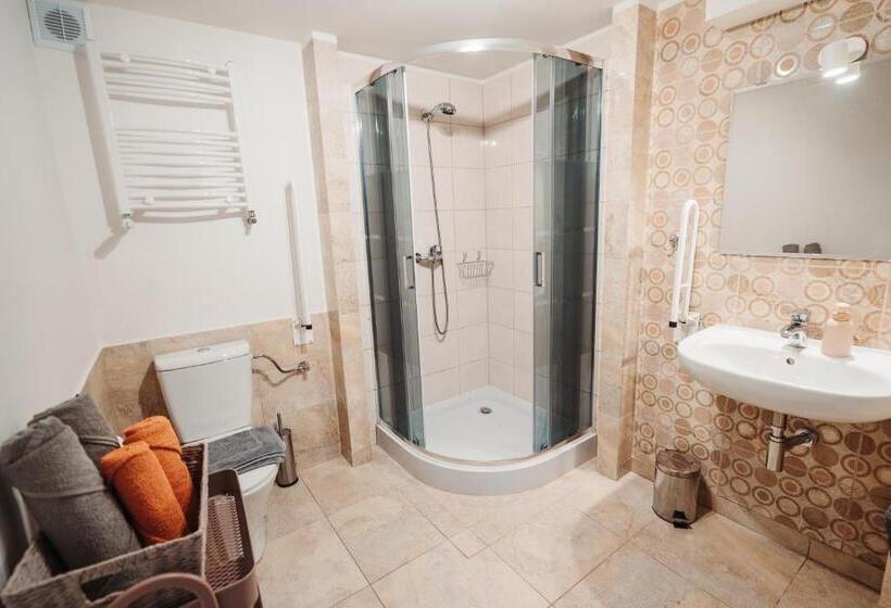 חדר סטודיו סטנדרד, Willa Zaciszne Centrum Augustów