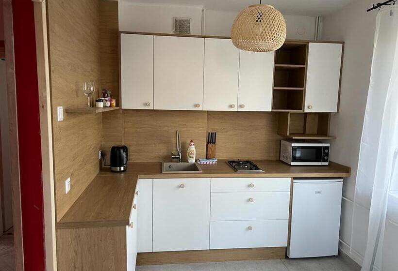 شقة غرفة واحدة مزودة بتراس, Agroturystyka Bliźniaczek