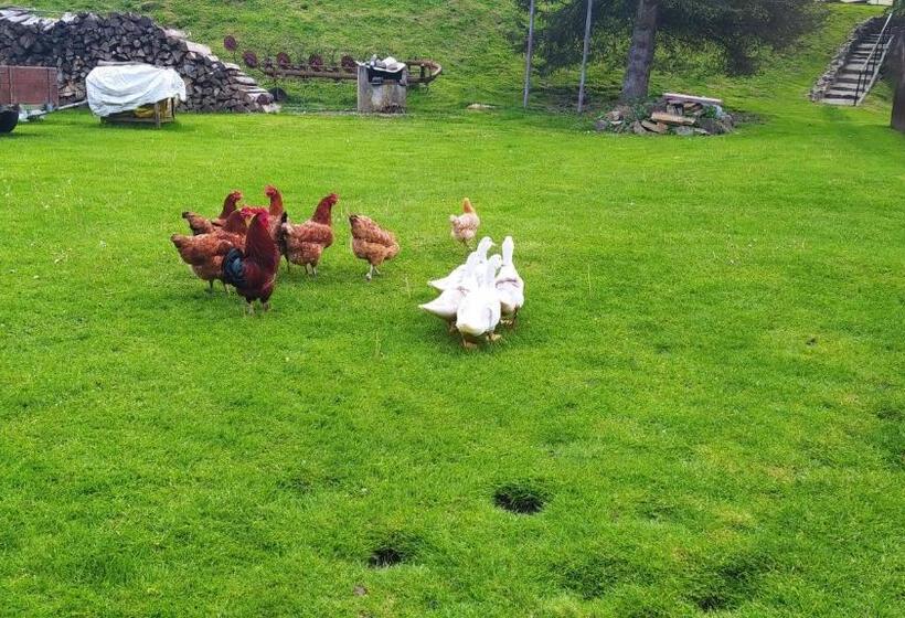 带1个卧室的公寓, Agroturystyka Wilkowyja