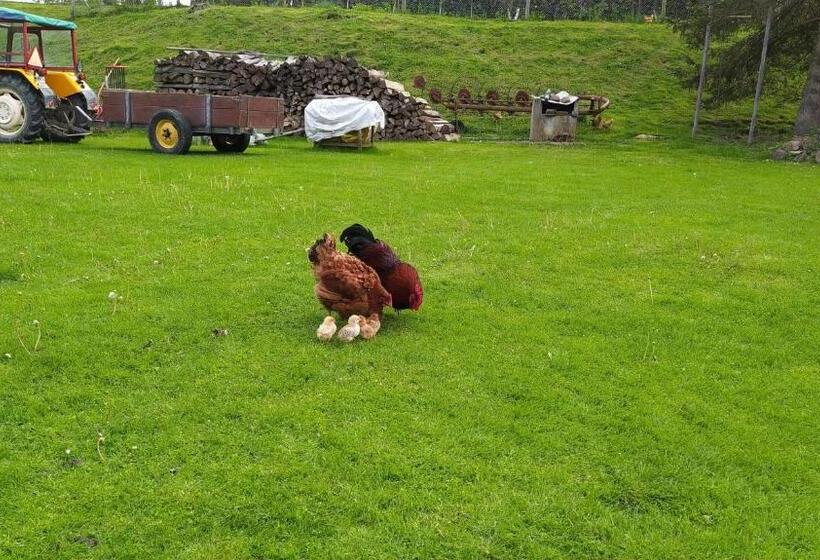 带1个卧室的公寓, Agroturystyka Wilkowyja