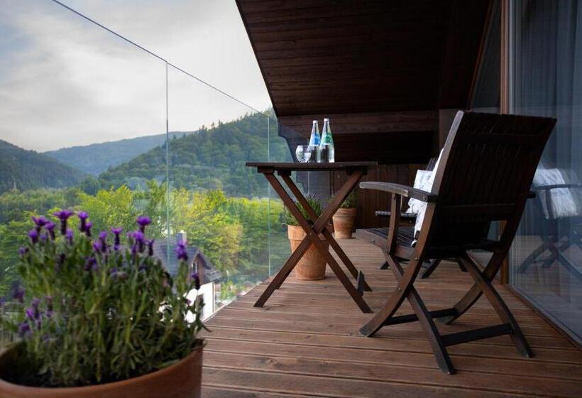 Апартаменты 1 Спальня с Видом, Beskid Balneo Medical Resort & Spa