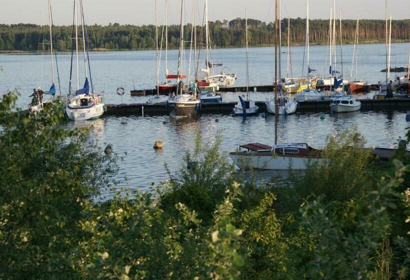 デラックスルーム, Modra Sikorka