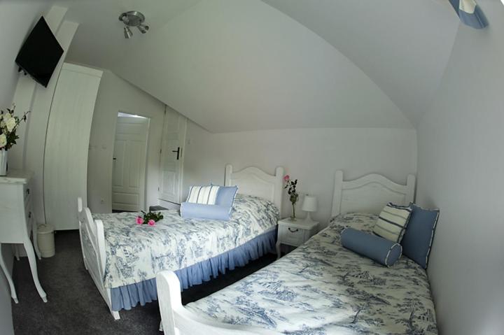 デラックスルーム, Modra Sikorka