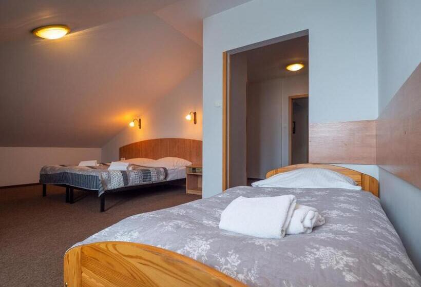 Трежместный Номер Economy, Sajmino Family House
