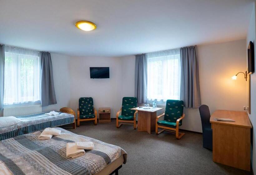 Economy Triple Room, Sajmino Family House