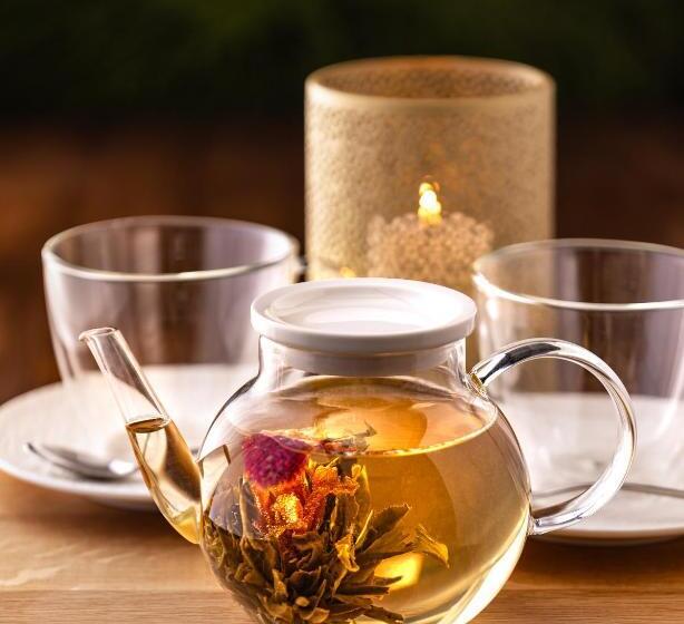 חדר סטנדרט, Seidorf W Sosnówce Koło Karpacza