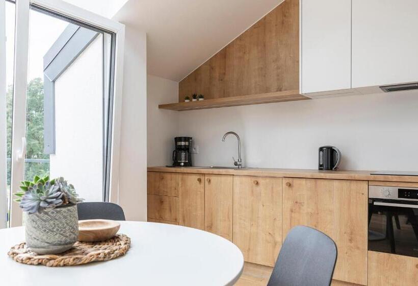 חדר סטודיו סטנדרד, Kamienica Parkowa