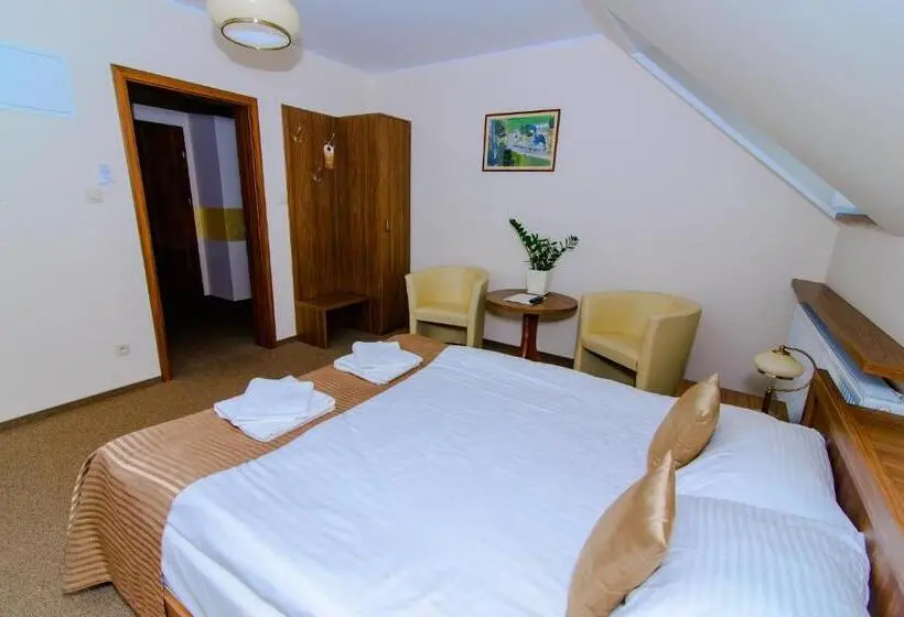 Superior Room with Terrace, Noclegi Sobańskich