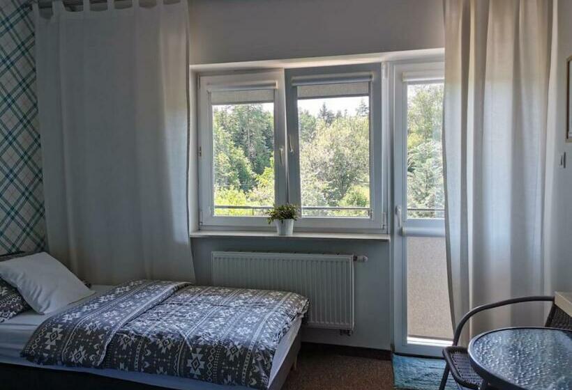 标准间, Leśna Villa