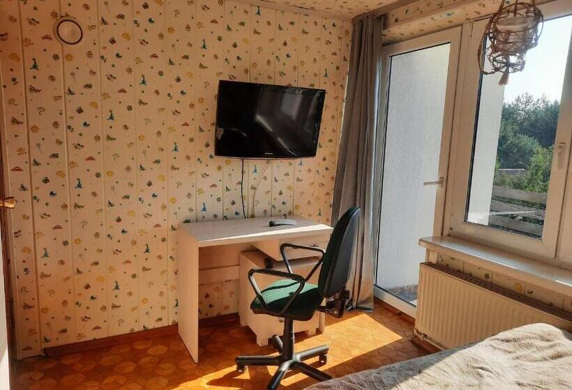 חדר סטנדרט עם מיטת קינג, Pensjonat Kaprys