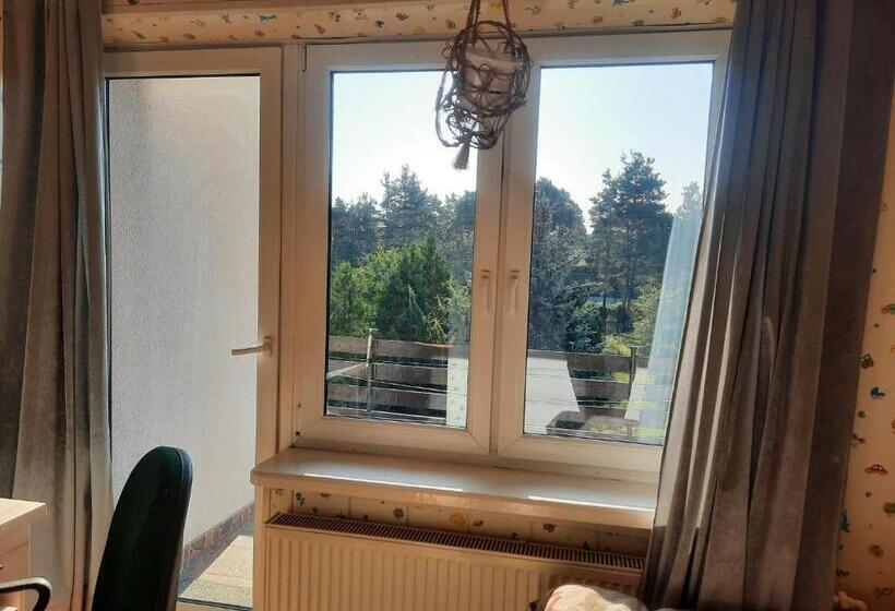 חדר סטנדרט עם מיטת קינג, Pensjonat Kaprys