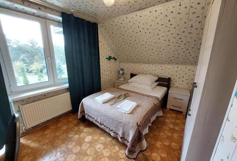 חדר סטנדרט עם מיטת קינג, Pensjonat Kaprys