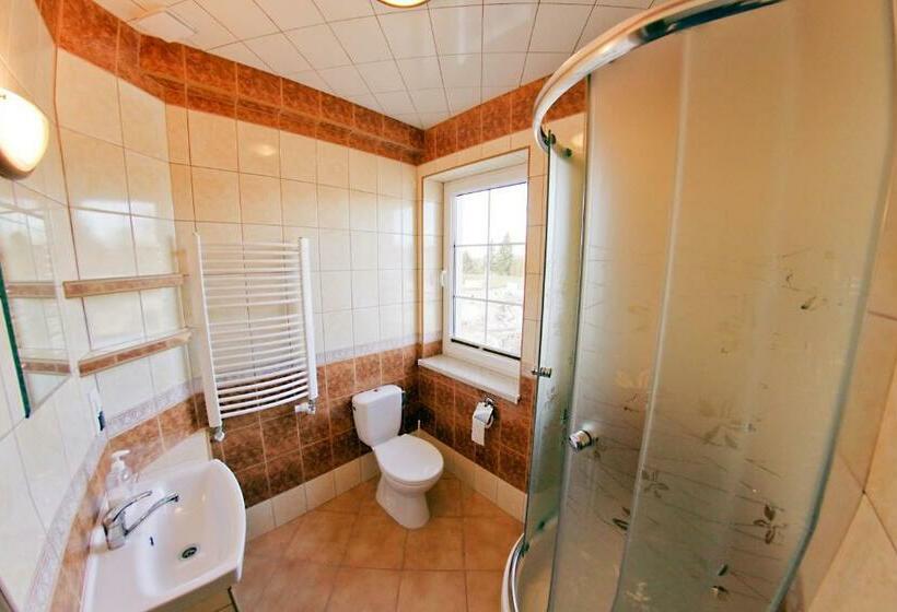 标准单人间, Dwór Dziekanów