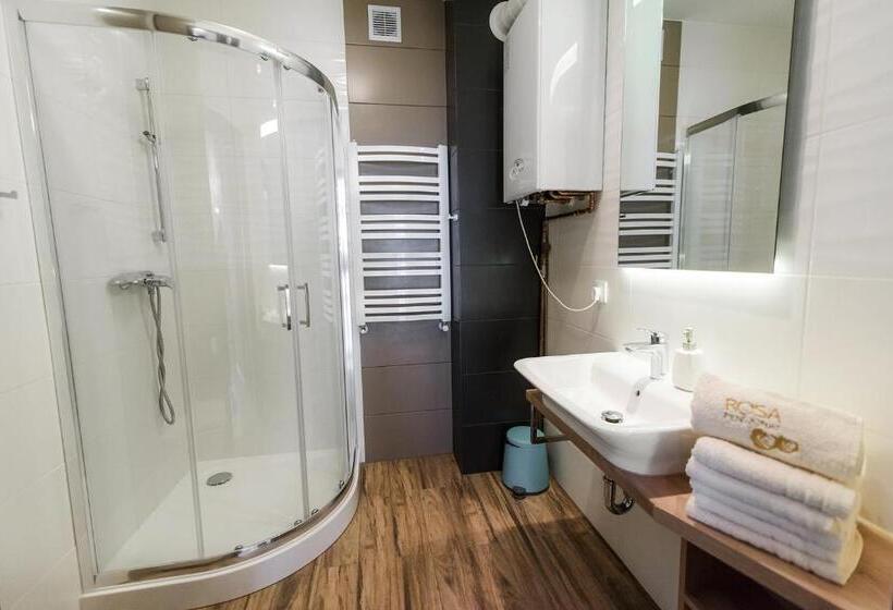 Апартаменты 1 Спальня, Rosa Apartamenty