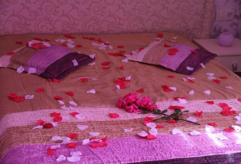 آپارتمان 1 خوابه, Ik Wulpink Majdy Olsztyn