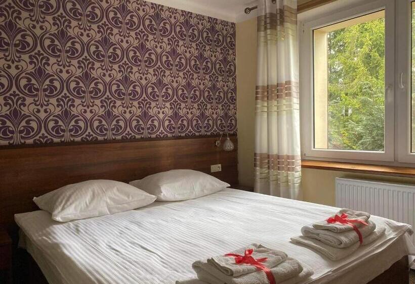 اتاق استاندارد یک نفره, Ik Wulpink Majdy Olsztyn