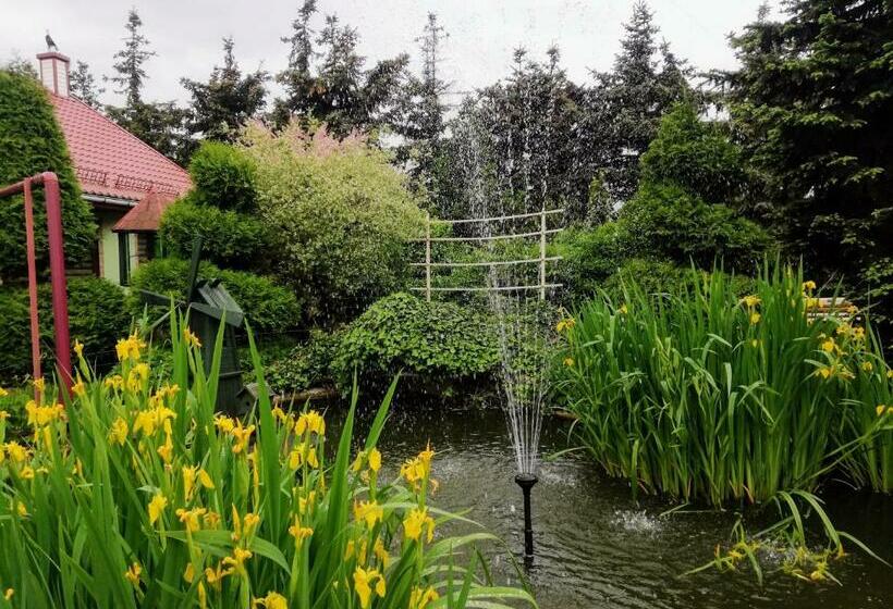 スタンダードルーム, Noclegi I Restauracja Gracja