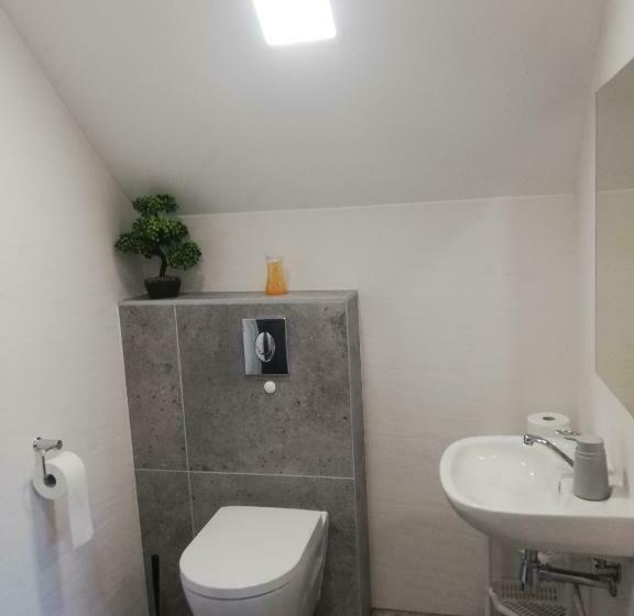 スタンダードルーム, Noclegi I Restauracja Gracja