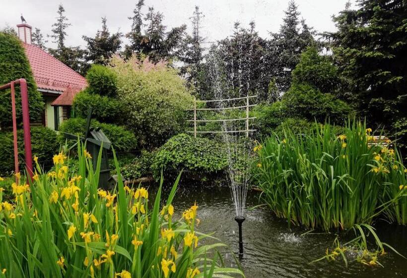 スタンダード4人部屋, Noclegi I Restauracja Gracja