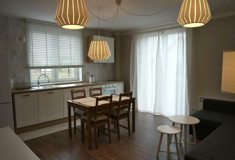 דירת חדר דלוקס, Apartamenty Przy Winnicy