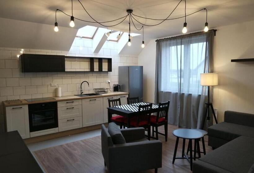 דירת חדר דלוקס, Apartamenty Przy Winnicy