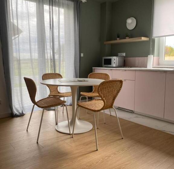 דירת חדר דלוקס, Apartamenty Przy Winnicy