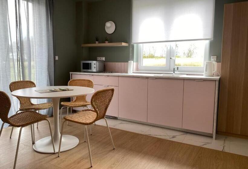 דירת חדר דלוקס, Apartamenty Przy Winnicy