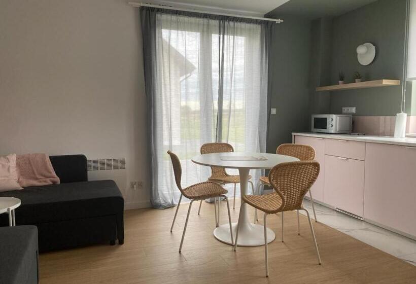 דירת חדר דלוקס, Apartamenty Przy Winnicy