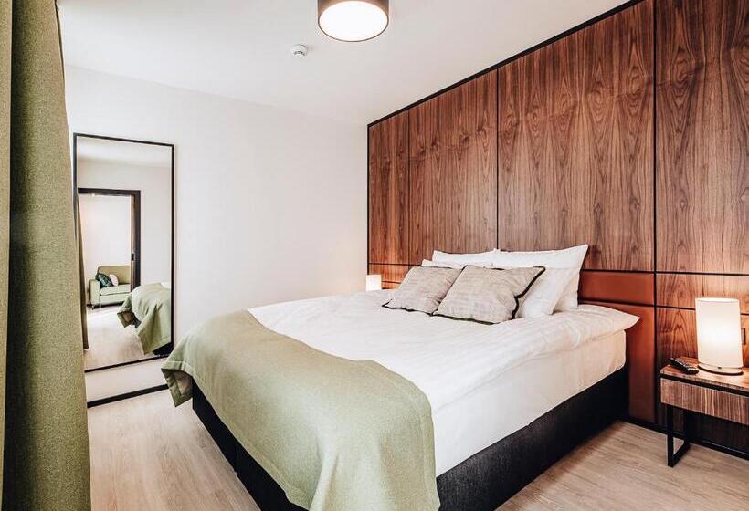 آپارتمان 1 خوابه, Apartamenty Sowa Bydgoszcz